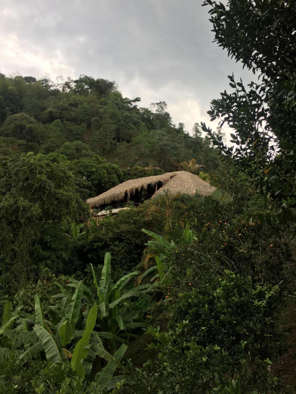 Hotel Green Ecologico La Vega  Dış mekan fotoğraf