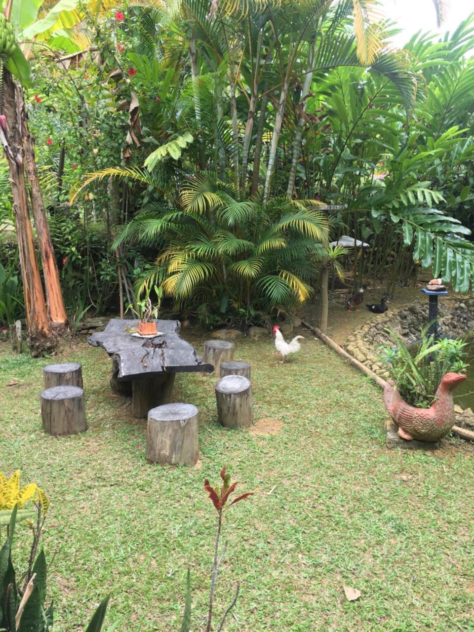 Hotel Green Ecologico La Vega  Dış mekan fotoğraf