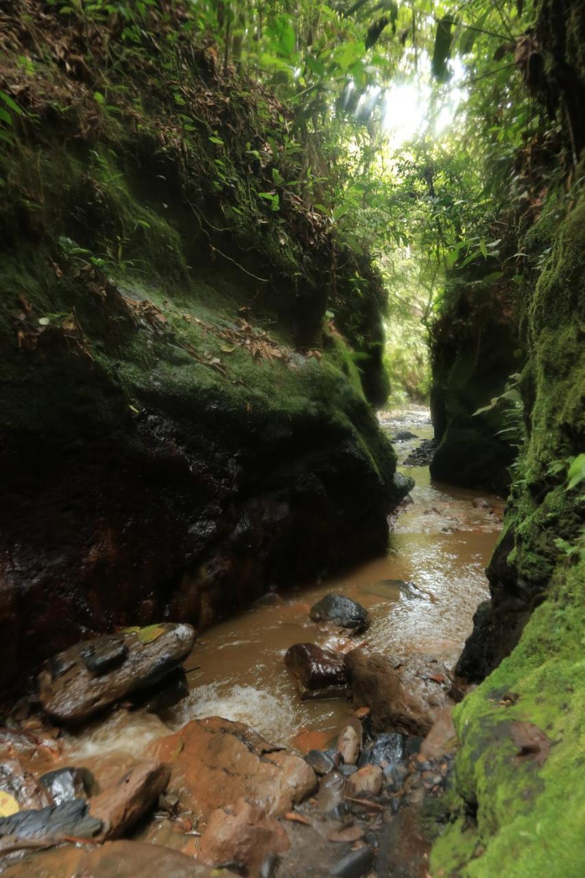 Hotel Green Ecologico La Vega  Dış mekan fotoğraf
